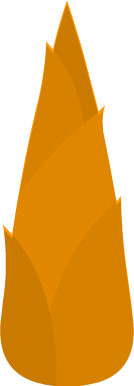 Orange tree leaves 6